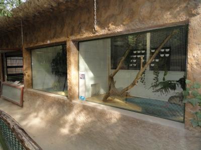 Python molure - 2010