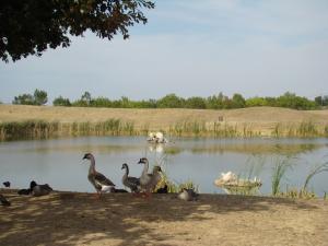 Le lac