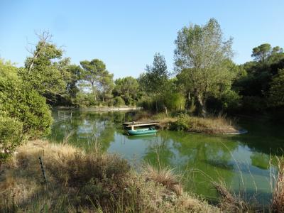 Cerf du Vietnam - Grue antigone - 2016