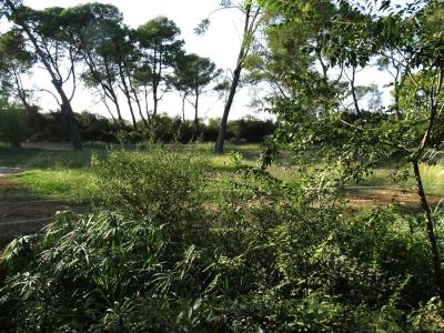 Pampa argentine - 2016