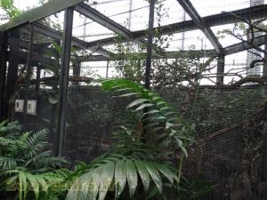 Serre tropicale
