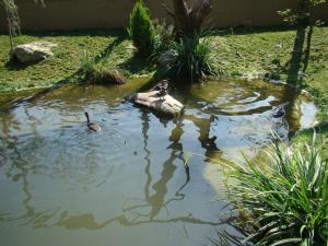 Les ailes de la nature