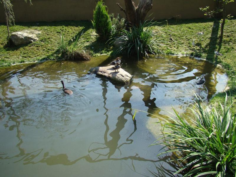 Les ailes de la nature