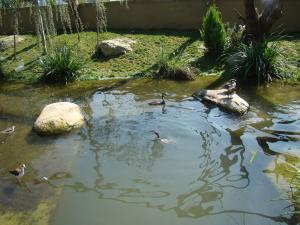 Les ailes de la nature