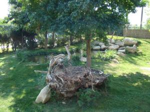 Cigogne