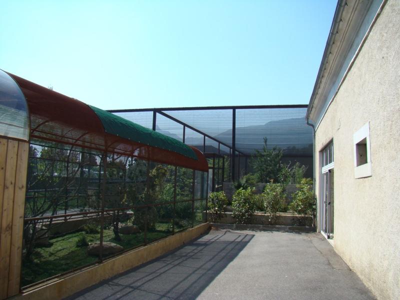 Passereaux