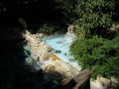 Loutre d'Europe - 2009