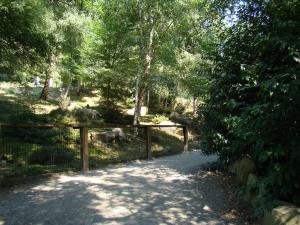 Marmotte