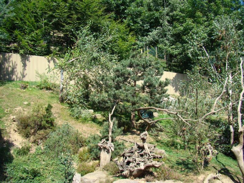 Ecureuil
