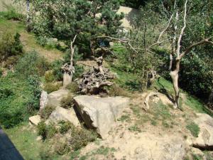 Ecureuil