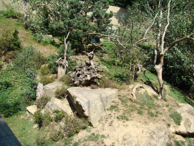 Ecureuil