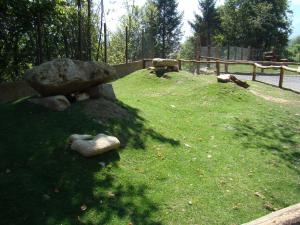 Mini-ferme