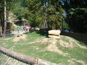 Mini-ferme