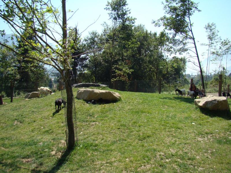 Mini-ferme