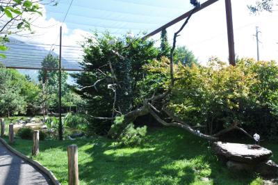 Les ailes de la nature - 2012