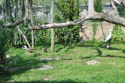 Les ailes de la nature - 2012