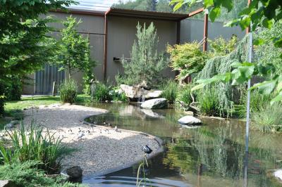 Les ailes de la nature - 2012