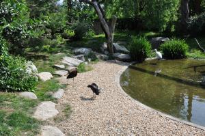 Les ailes de la nature