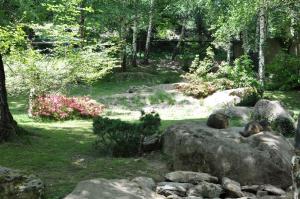 Marmotte