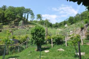 Le Grand parcours