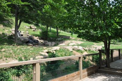 Loup d'Europe - 2012