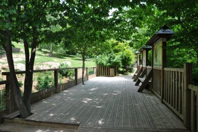 Loup d'Europe - 2012