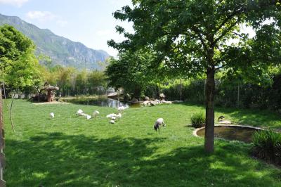 Parc des migrateurs - 2012