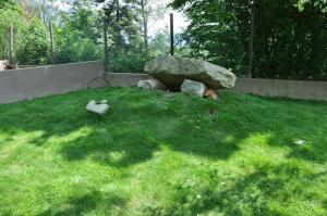 Mini-ferme