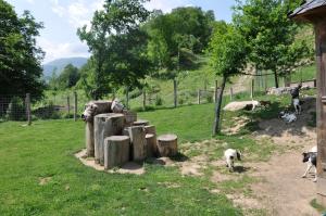 Mini-ferme