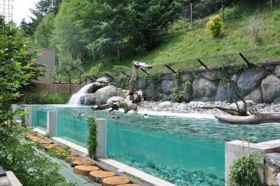 Les oiseaux pêcheurs - 2012