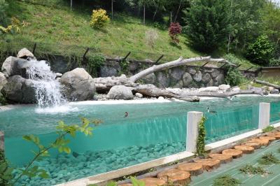 Les oiseaux pêcheurs - 2012