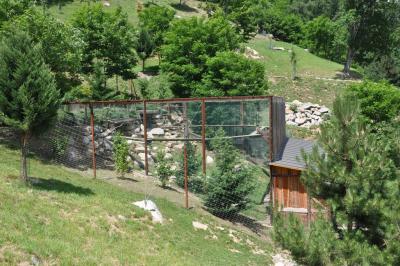 Gypaète barbu - 2012