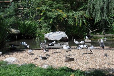 Les ailes de la nature - 2015