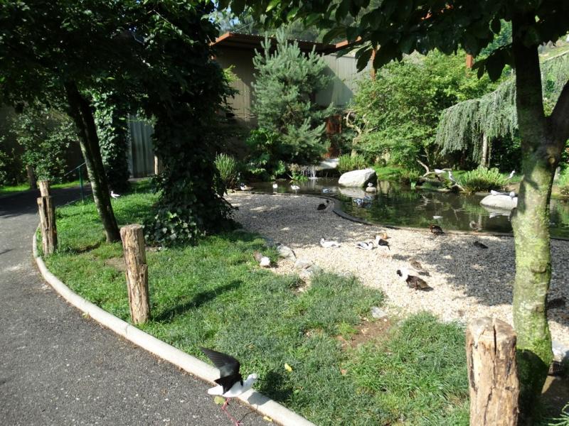 Les ailes de la nature