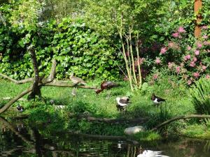 Les ailes de la nature