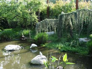 Les ailes de la nature