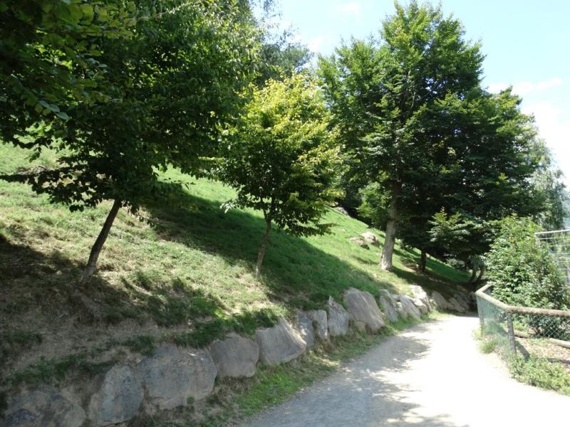 Chevreuil