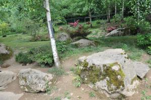 Marmotte