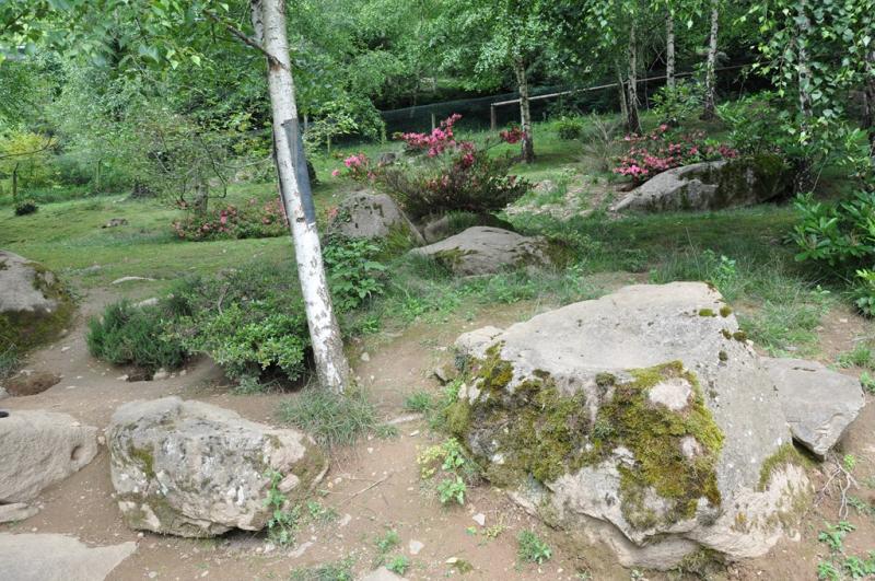 Marmotte