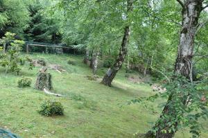 Marmotte