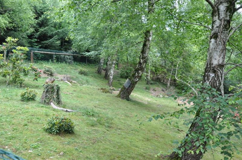 Marmotte