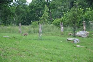 Le Grand parcours