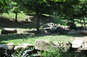Loup