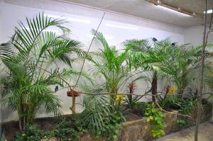 Zone Guyane