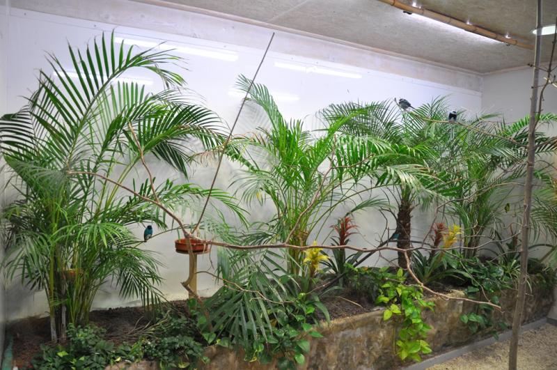 Zone Guyane