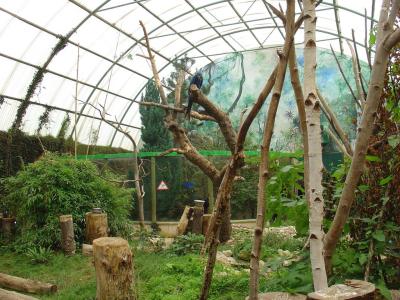 Pavillon amazonien - 2007