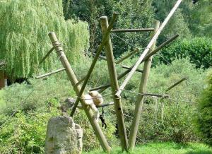 Gibbon lar