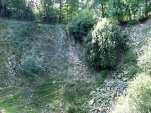 Mouflon à manchettes - Singe Magot