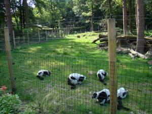 Maki vari noir et blanc