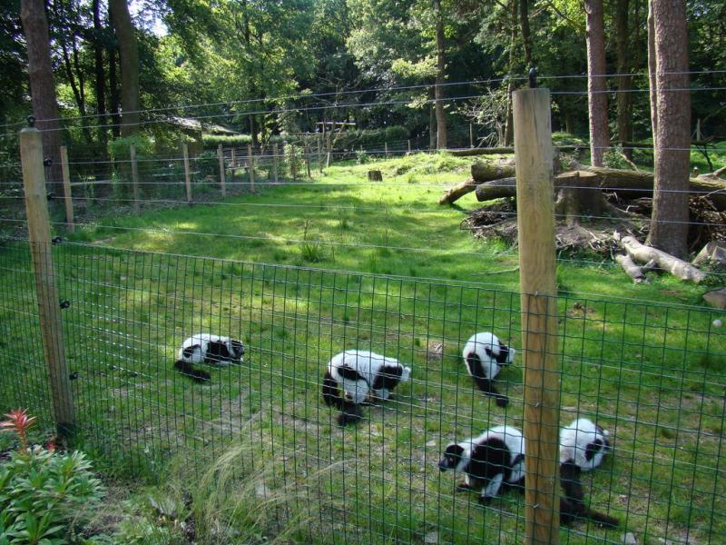 Maki vari noir et blanc